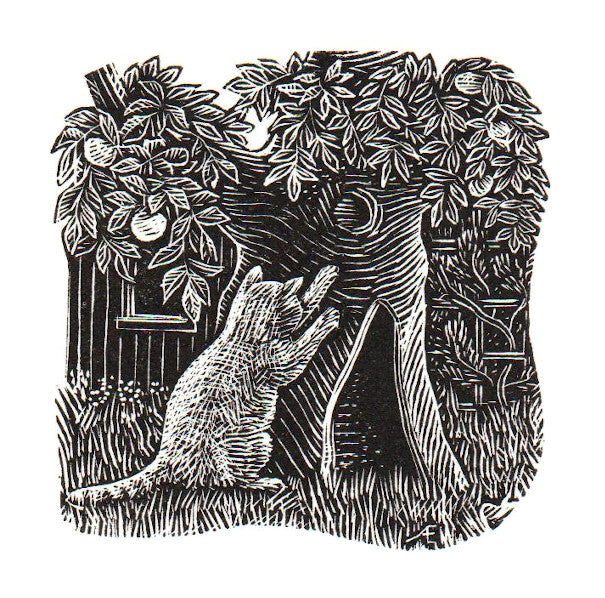 The Cat's Favourite Tree