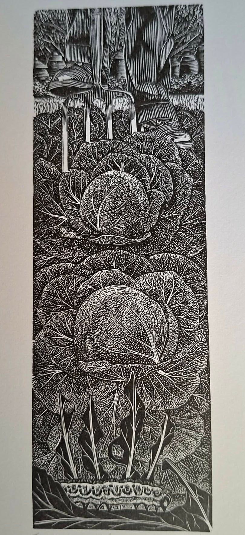 The Cabbage Eaters