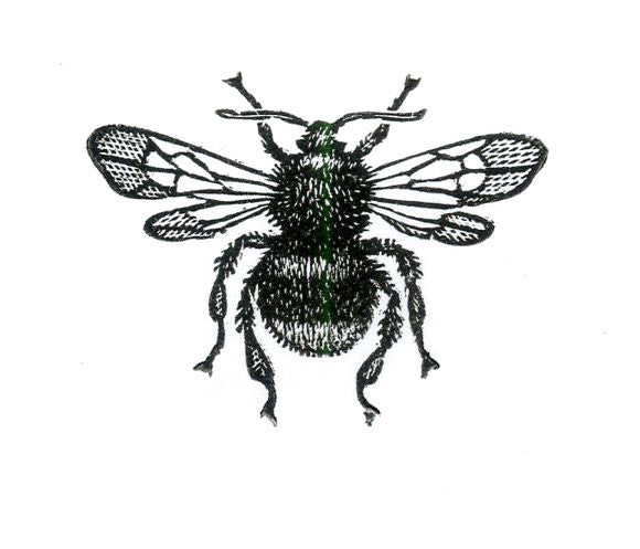 Bee Wood Engravings