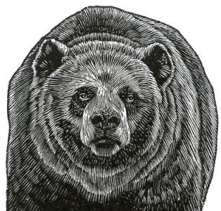 Wild Animal Engravings