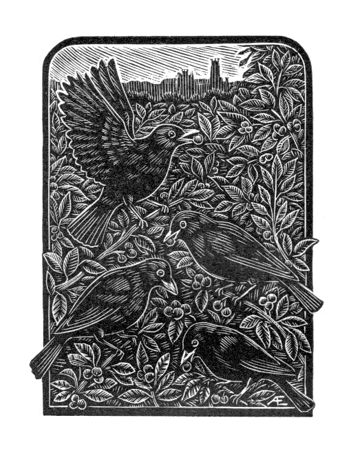 Four Colly Birds