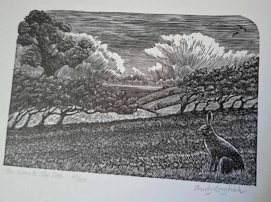 The Hare & The Sea